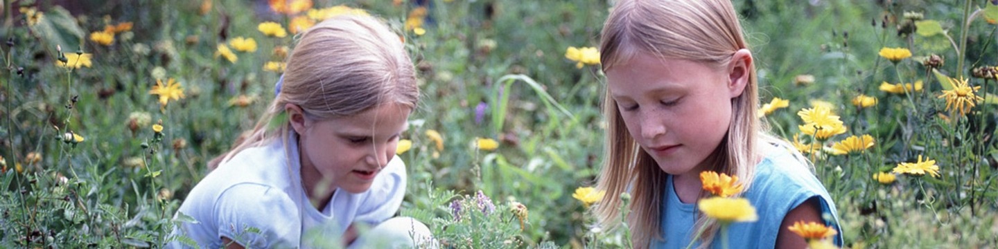 Billede af 2 piger i blomstereng